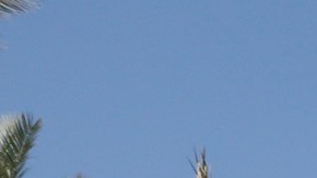 Agentes federales catean la sala de apuestas del Bicycle Hotel and Casino en Bell Gardens.