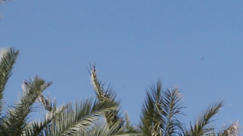 Agentes federales catean la sala de apuestas del Bicycle Hotel and Casino en Bell Gardens.