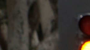 Activista siendo detenido por un agente.