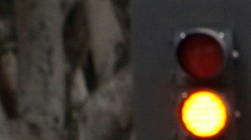 Activista siendo detenido por un agente.