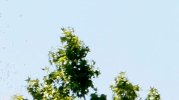 Con las refinerías a sus espaldas, niños jeugan en el parque Wilmington Waterfront. Wilmington tiene la mayor concentración de refinerías en el estado. (Aurelia Ventura/La Opinion)