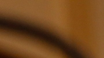 La senadora Dianne Feinstein aspira a su quinto mandato completo.