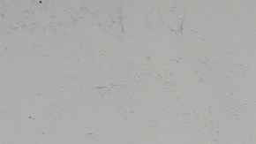 Grafiti de pandillas en el área de Los Ángeles.