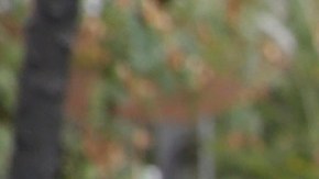 Todo ciudadano debe ser tratado equitativamente