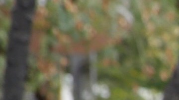 Todo ciudadano debe ser tratado equitativamente