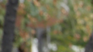 Todo ciudadano debe ser tratado equitativamente