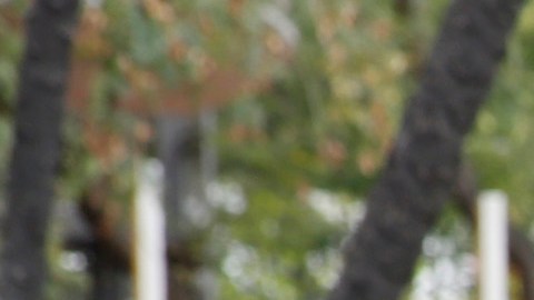 Todo ciudadano debe ser tratado equitativamente