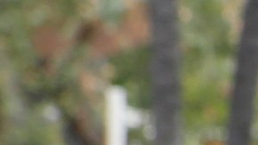 Estudiantes del LAUSD que se gradúen este año tendrán acceso a un año de colegio comunitario gratis. (Aurelia Ventura/La Opinion)