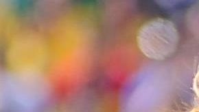 La brasileña Marta ficha por el Orlando Pride