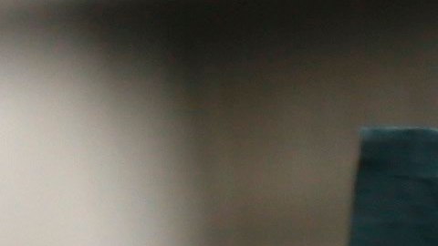 Millones de personas en todo e país han marchado en contra de su política migratoria