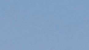 La operación se llevó a cabo el pasado jueves