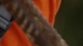 Las autoridades temen que unos 30 obreros est'en atrapados.