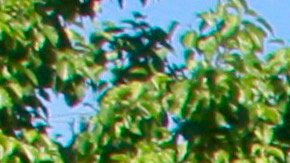 Activistas protestan contra las propuestas antiinmigrantes de Trump en El Paso, Texas.