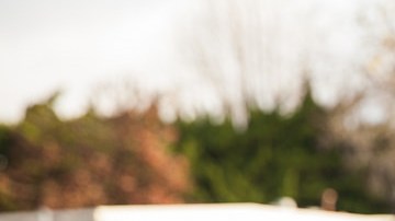 Steve Zimmer, presidente del consejo del LAUSD, votó a favor de la resolución.