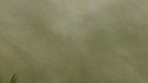 Rescatistas y bomberos en busca de sobrevivientes del accidente ocurrido en los límites de de Michoacán y Guerrero.