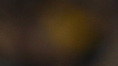 Lionel Messi enfrenta problemas con Hacienda por fraude fiscal.