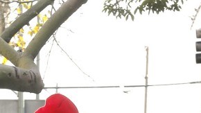 Muchos de los jóvenes desamparados antes vivían en hogares de crianza.