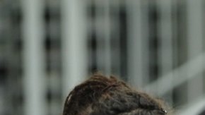 La mayoría de las universidades jóvenes en la lista incluyen la palabra "tecnología" en sus nombres