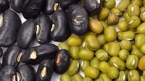 Las legumbres nutren y satisfacen el apetito.