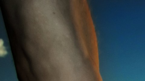 95623209_gettyimages-86431697
