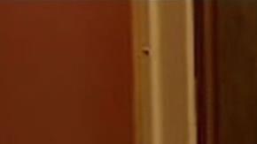 Alix Tichelman, de 29 años, fue encontrada culpable de homicidio involuntario.