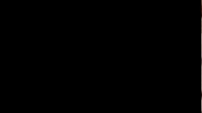 Fan de Chivas paga apuesta