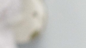 Regina Blandón y Eugenia Derbez en 'La Familia P. Luche'