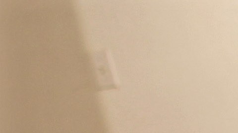 Indocumentados comienzan a regresar a México con el fin de proteger pertenencias familiares