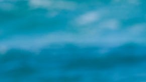 La pareja se encuentra escribiendo sus memorias en la polinesia francesa