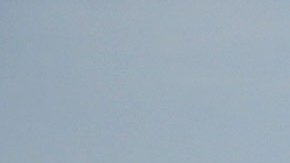 Migrantes en "La Bestia".