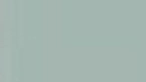 La GBU-43/B —una bomba de 21.600 libras (9.797 kilogramos)— fue lanzada sobre un "sistema de túneles y cuevas" de la provincia de Nangarhar, en el este de Afganistán.