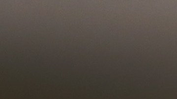 Donald Trump había fundado su agencia de modelaje en 1999