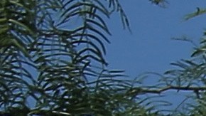 Migrantes en busca de asilo están siendo rechazados ilegalmente en la frontera con Estados Unidos, alega demanda (Foto: archivo)