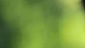 FRANCE-LITERATURE-BOOK-FAIR