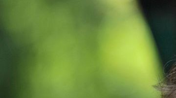 FRANCE-LITERATURE-BOOK-FAIR