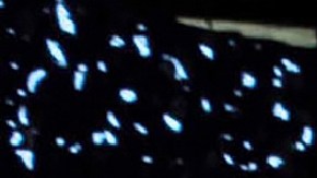 Kim Jong-un, líder de Corea del Norte es fanático del básquetbol.