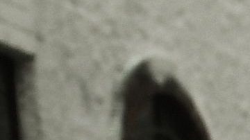 Los Ángeles es por naturaleza lo que debería ser una ciudad santuario.