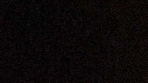 La hija del presidente no se encontraba en el lugar durante el incidente