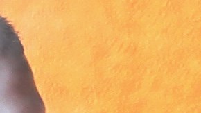 Cliff Pennington (#7) es felicitado por Albert Pujols y otros Angels tras batear el hit de la emocionante victoria de los Angels contra Seattle.