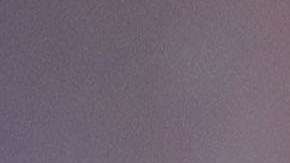 Fue el primer senador republicano en apoyar públicamente a Trump