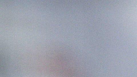 Cada día en EEUU mueren 7 niños por heridas con armas de fuego.