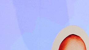 Kane iniciará carrera de político