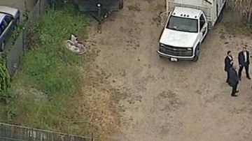 Imágenes aéreas mostraban un cuerpo cubierto en el lugar donde chocó la camioneta baleada.