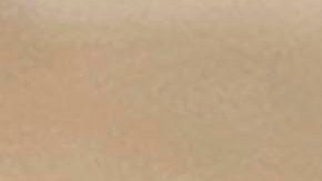 Bradley Cooper and Irina Shayk