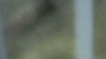 Andrés Daniel Gómez, jugador de Xolos