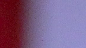 Juan Manuel Márquez, boxeador mexicano retirado.