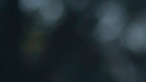 Osorio, DT del Tri, espera que Rafa, a sus 39 años, pueda llegar al Mundial de Rusia 2018.