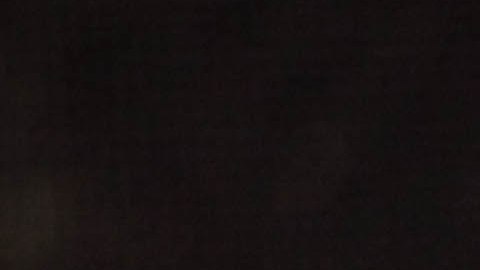 Canelo cree que dará un buen combate ante Chávez Jr.