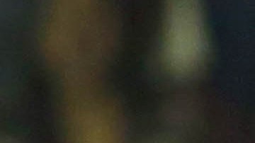 Tigres visita a los Whitecaps para culminar la labor en la Concachampions