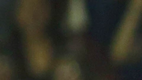 Tigres visita a los Whitecaps para culminar la labor en la Concachampions